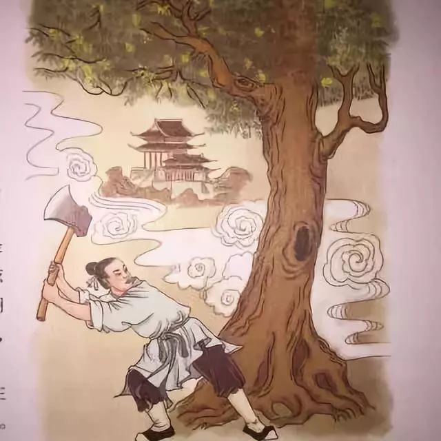 登录查看大图