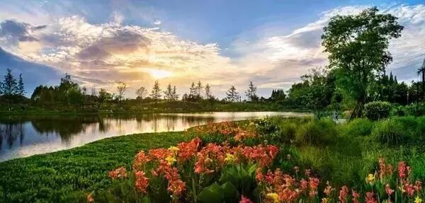 除了三处最热文化特色街区 春节一定要去成都这个地方打卡