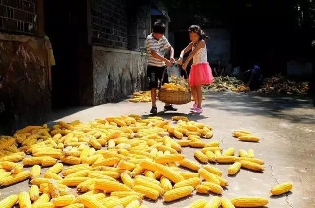 登录查看大图