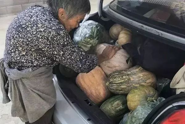 登录查看大图
