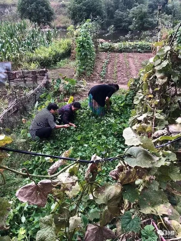 登录查看大图