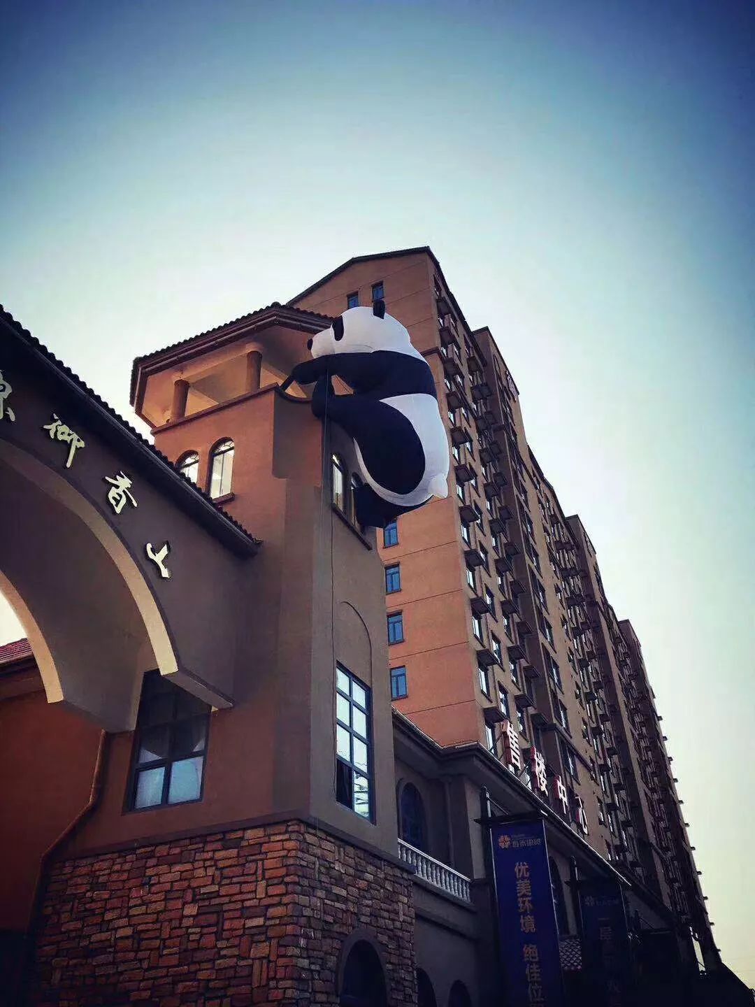 登录查看大图