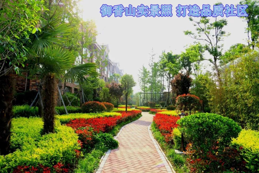 登录查看大图
