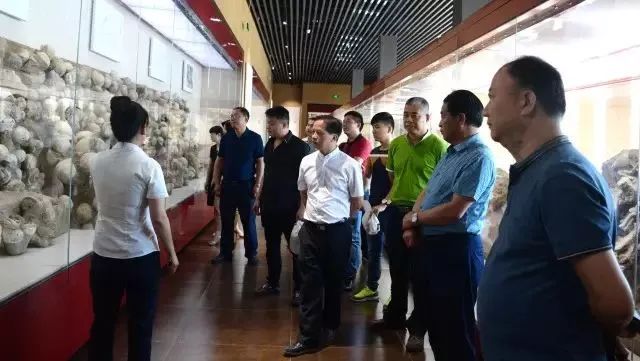 小目标非常棒！嘉庚论坛、两岸庙会、研学旅行…今年他们撸起袖子这么干！