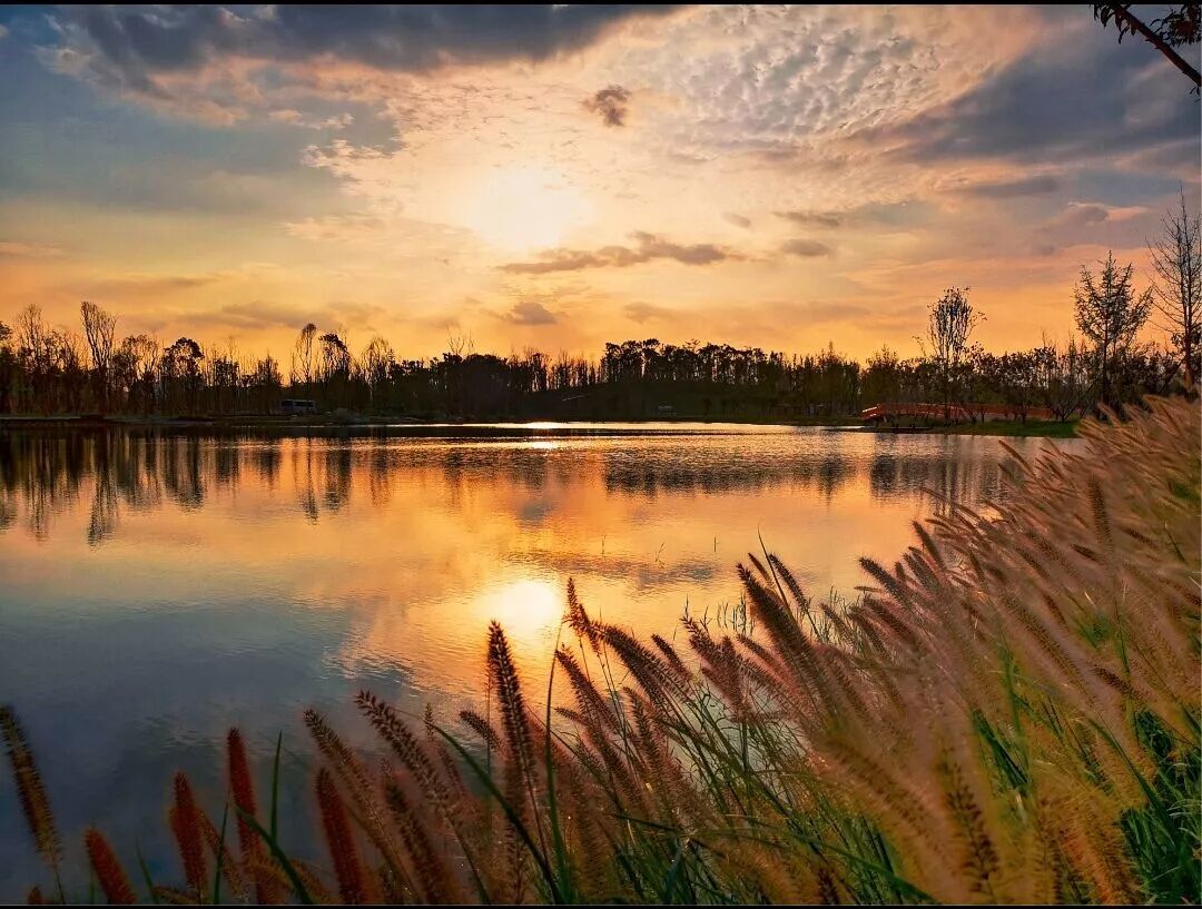 除了三处最热文化特色街区 春节一定要去成都这个地方打卡