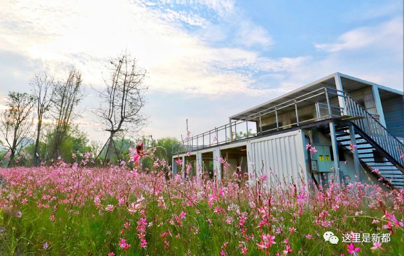 除了三处最热文化特色街区 春节一定要去成都这个地方打卡