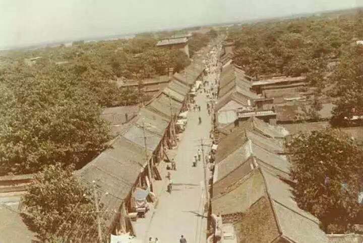登录查看大图